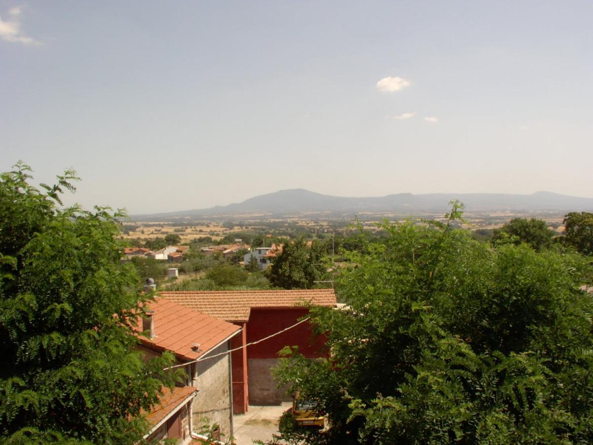 Bed and Breakfast I Tulipani Olandesi Zepponami Екстер'єр фото